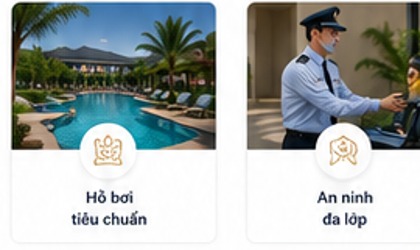 Hồ bơi