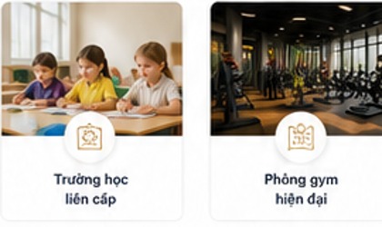 Trường học liên cấp